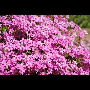 Meet your Posher, Aidan